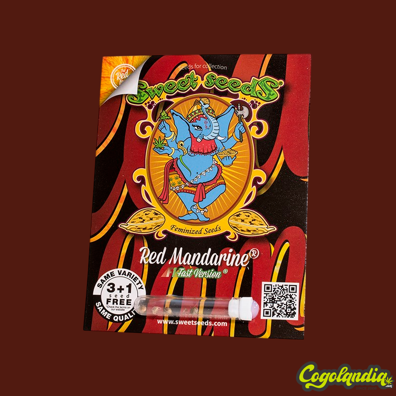 Red Mandarine F1 FV - Sweet Seeds Semillas Feminizadas
