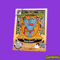 Sweet Cheese F1 FV - Sweet Seeds Semillas Feminizadas