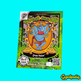 Green Poison F1 FV - Sweet Seeds