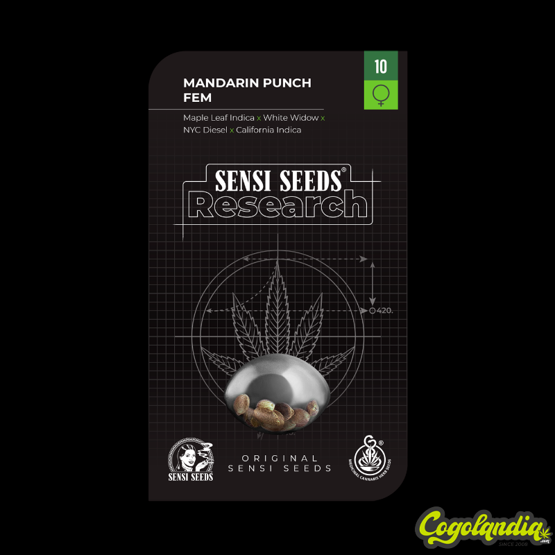 Mandarin Punch - Sensi Seeds