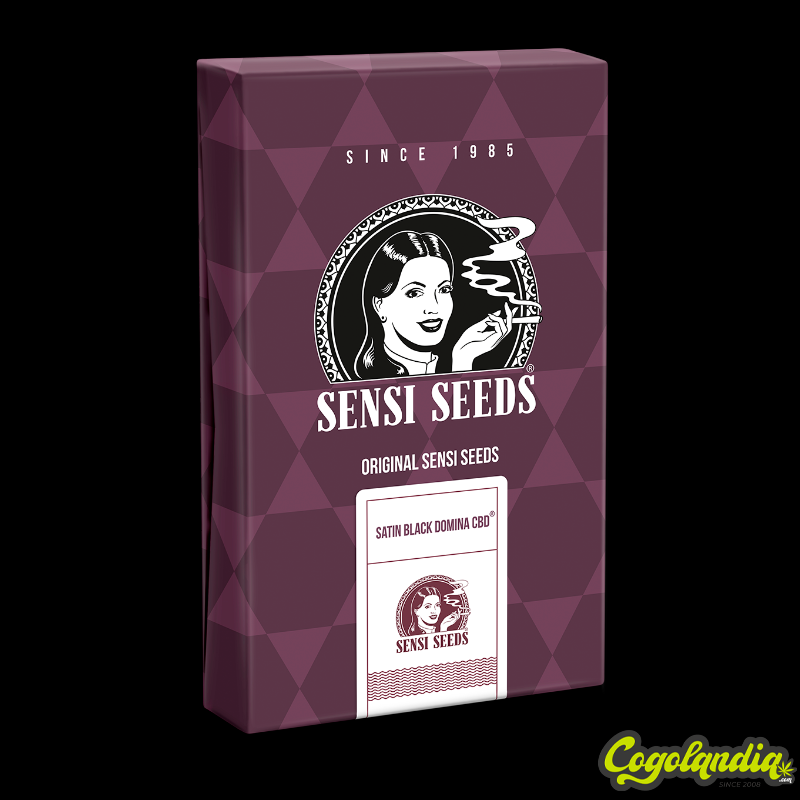 Satin Black Domina CBD Feminizada - Sensi Seeds