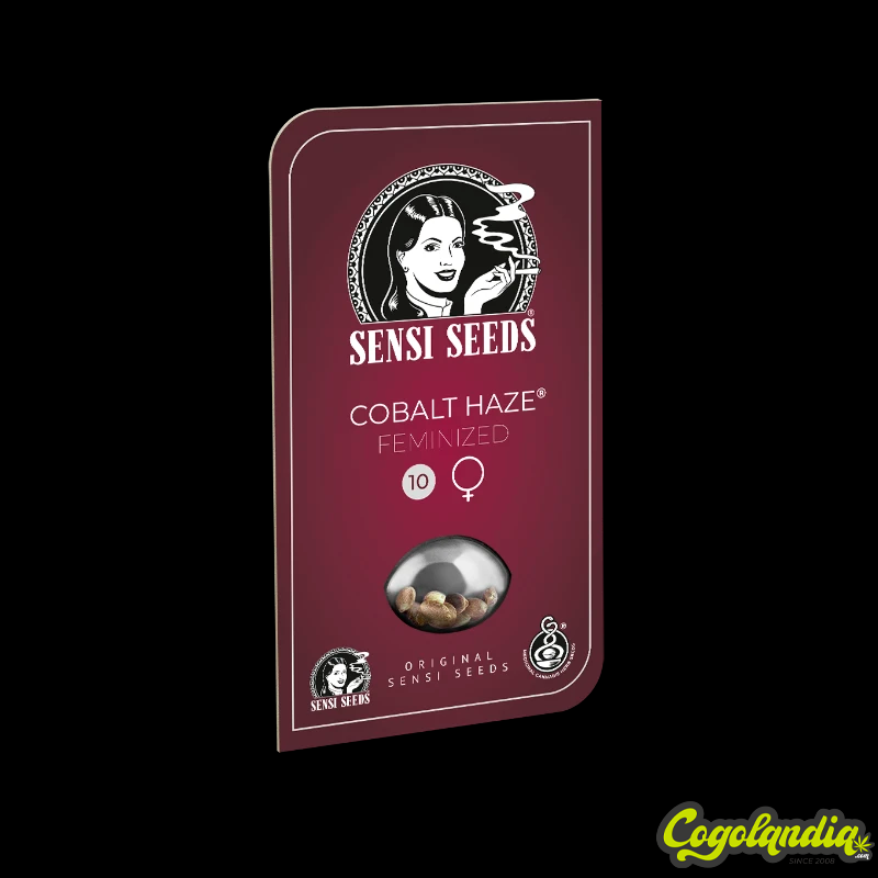 Cobalt Haze - Sensi Seeds
