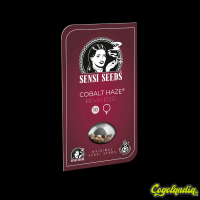 Cobalt Haze - Sensi Seeds