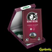 Hindu Kush - Sensi Seeds