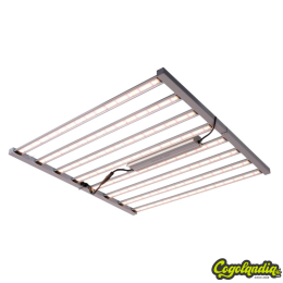 Sistema LED Spider King 1000 W - Vanguard Hydroponics