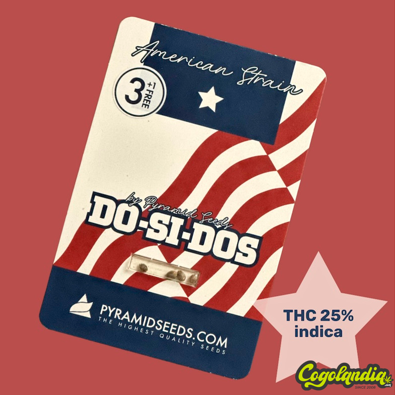 Do-Si-Dos - Pyramid Seeds