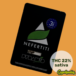 Nefertiti - Pyramid Seeds