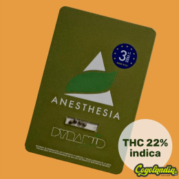 Anesthesia - Pyramid Seeds