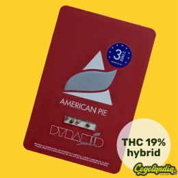 American Pie - Pyramid Seeds