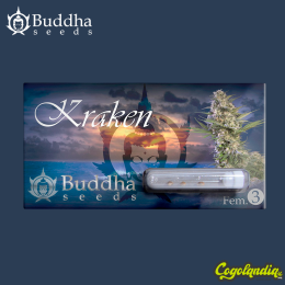 Buddha Kraken - Buddha Seeds Semillas Feminizadas