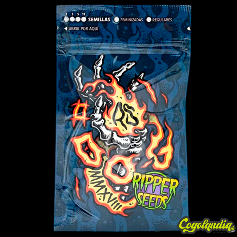 Do G - Ripper Seeds Semillas Feminizadas