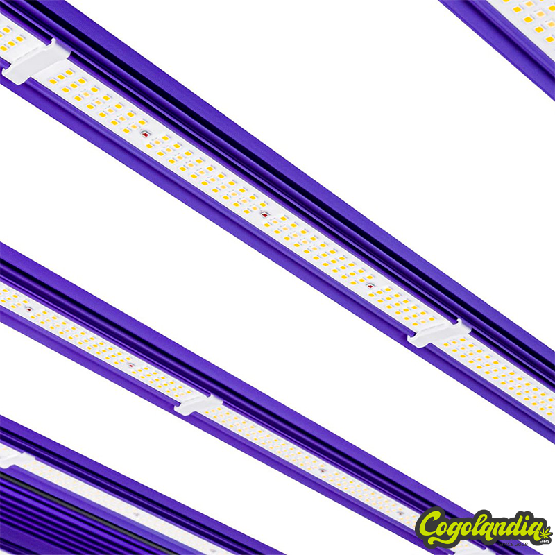 Zeus 1000w PRO EVO 3.1 - Lumatek