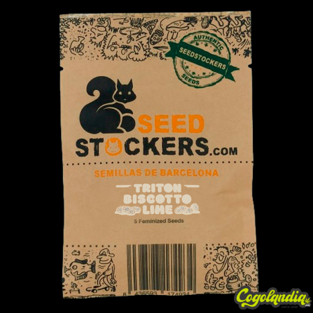 Triton Biscotto Lime - Seedstockers