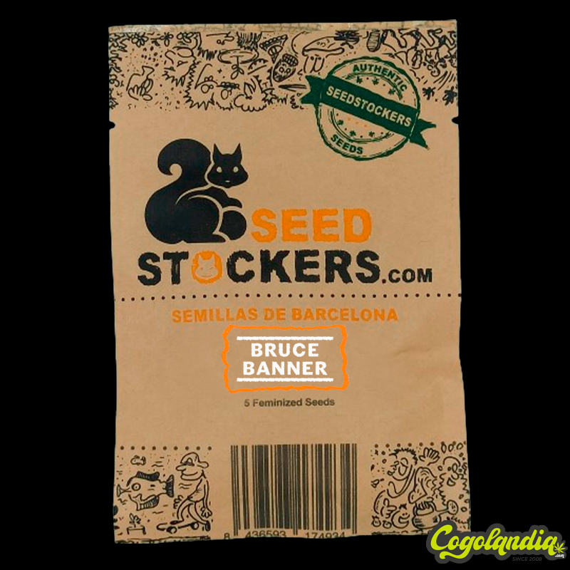Bruce Banner - Seedstockers