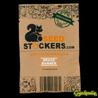 Bruce Banner - Seedstockers
