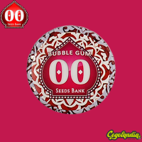 Bubble Gum Fast - 00 Seeds