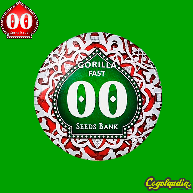 Gorilla Fast - 00 Seeds