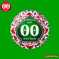 Gorilla Fast - 00 Seeds