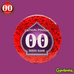 Critical Poison - 00 Seeds