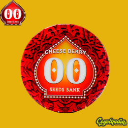 Cheese Berry - 00 Seeds