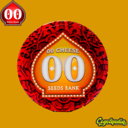 00 Cheese - 00 Seeds