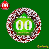 Rainbow Mints - 00 Seeds