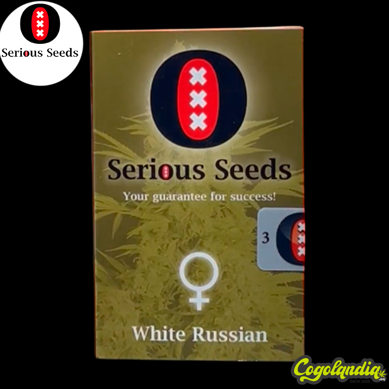 White Russian - Serious Seeds Semillas Feminizadas
