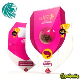 Royal Moby - Royal Queen Seeds