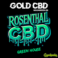 Small Buds GreenHouse Rosenthal - Gold CBD