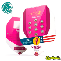 Cookies Gelato - Royal Queen Seeds