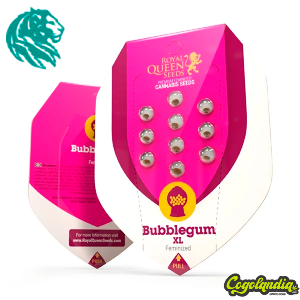 Bubblegum XL - Royal Queen Seeds