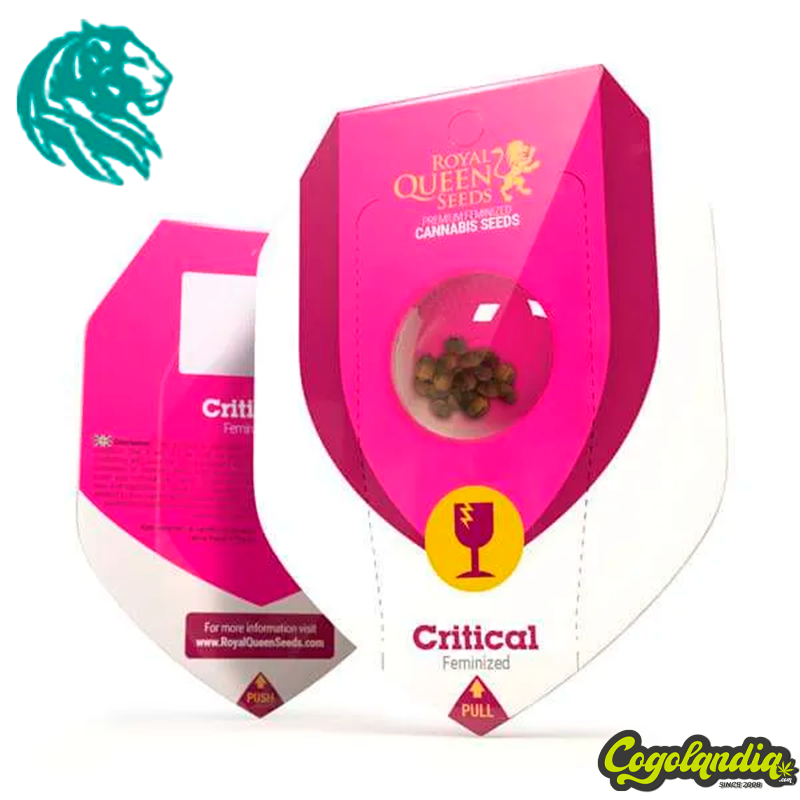 Critical - Royal Queen Seeds