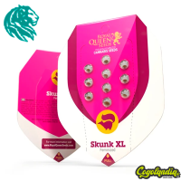 Skunk XL - Royal Queen Seeds Semillas Feminizadas