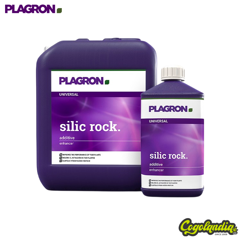 Silic Rock - Plagron