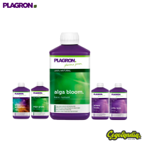 Bio Top Grow Box 100% - Plagron 