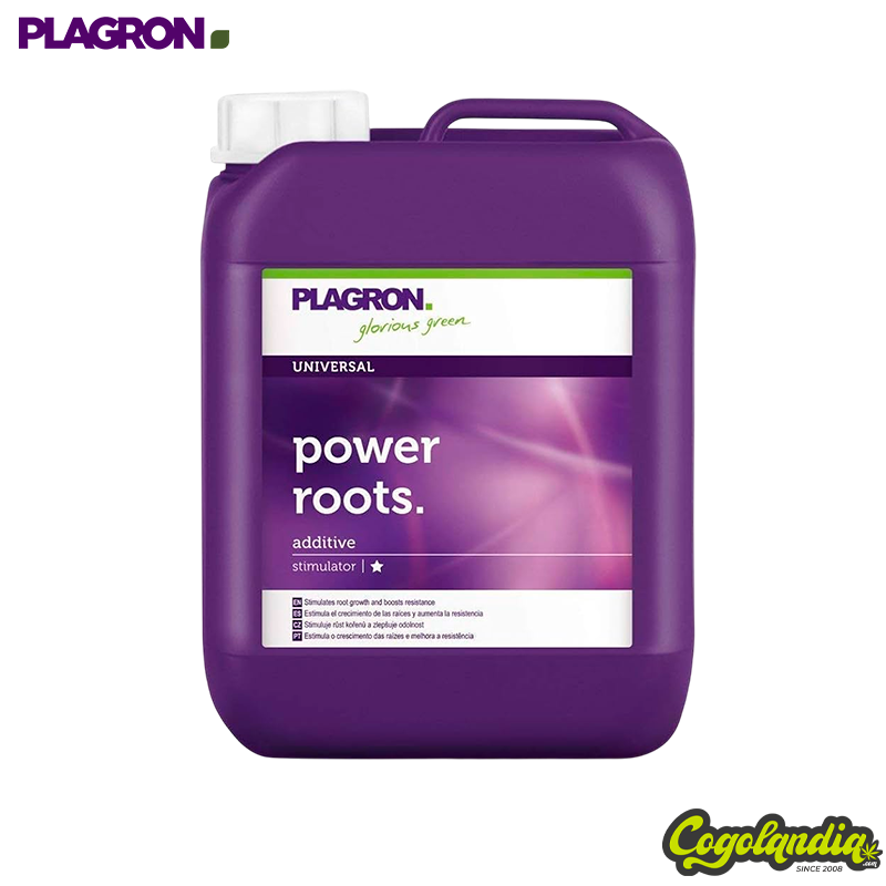 Power Roots - Plagron