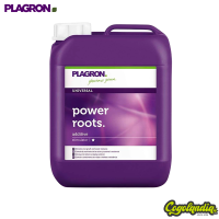Power Roots - Plagron