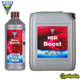 Hesi Boost - Hesi