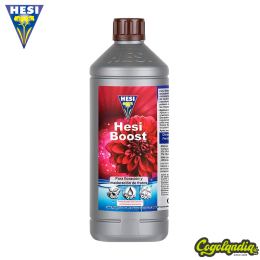 Hesi Boost - Hesi
