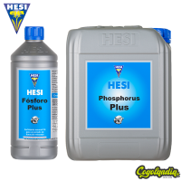 Fósforo Plus - Hesi