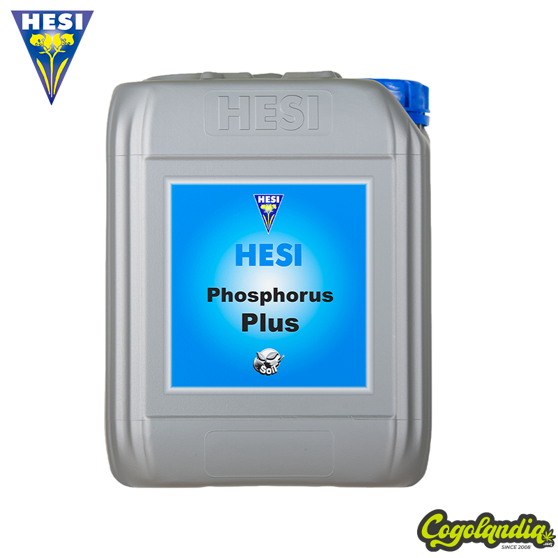 Fósforo Plus - Hesi Inicio