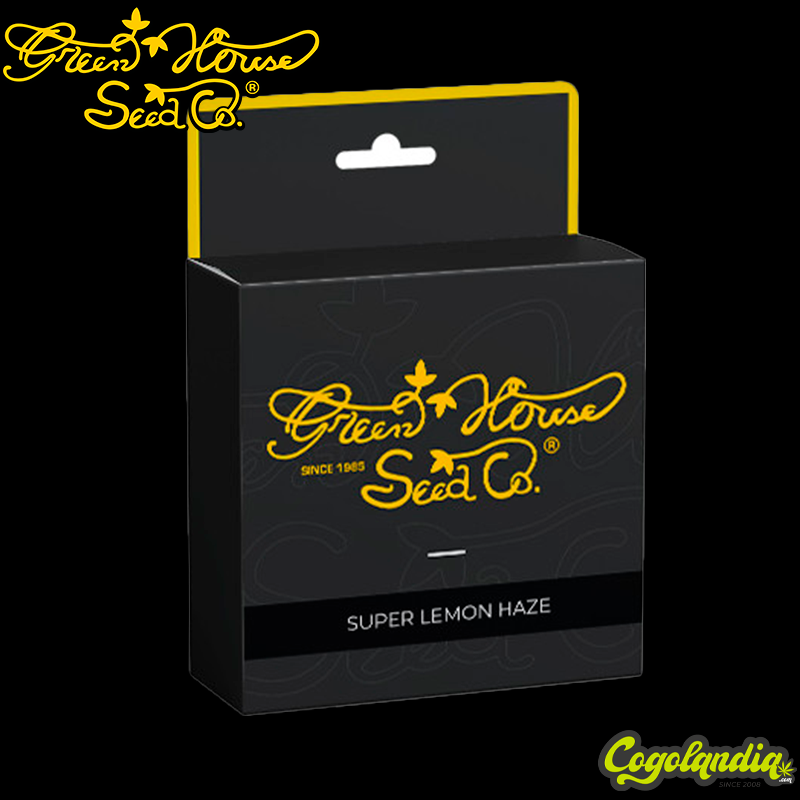 Super Lemon Haze - Green House Seeds