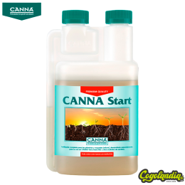 Canna Start - Canna