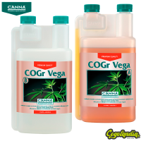 Vega COGR - Canna