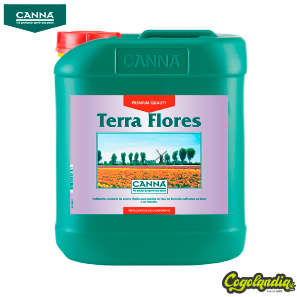 Terra Flores - Canna Inicio
