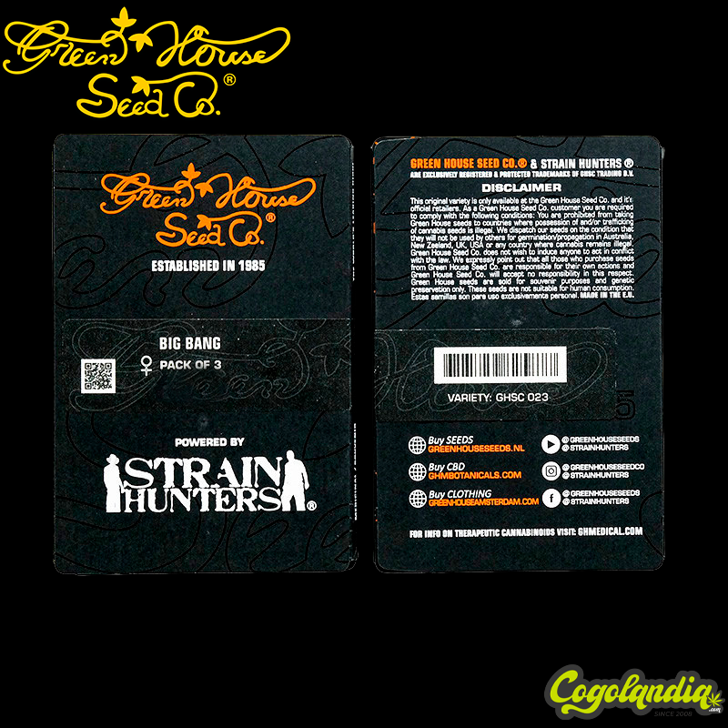 Big Bang - Green House Seeds Semillas Feminizadas