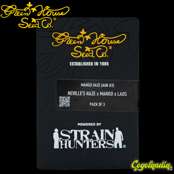 Arjan's Haze 2 - Green House Seeds