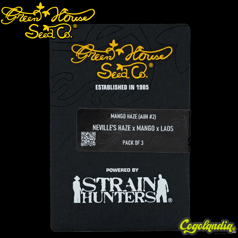 Arjan's Haze 2 - Green House Seeds