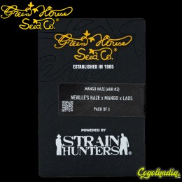 Arjan's Haze 2 - Green House Seeds