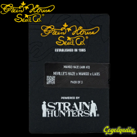 Arjan's Haze 2 - Green House Seeds